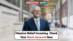 $750 Relief Hits Bank Accounts This May – Are You on the Official Payment List? Find Out Now!