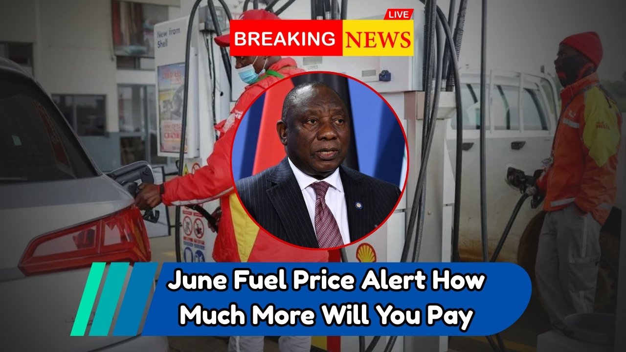 South African Petrol Price